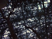 photos 2000-200902634